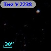 Terz V 2238