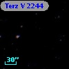 Terz V 2244