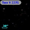 Terz V 2275