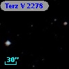 Terz V 2278