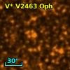 V* V2463 Oph
