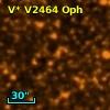 V* V2464 Oph