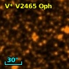V* V2465 Oph