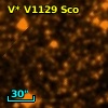 V* V1129 Sco