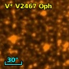 V* V2467 Oph