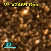 V* V2469 Oph