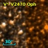 V* V2470 Oph