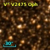V* V2475 Oph