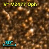 V* V2477 Oph