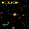 HD 316029