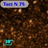 Terz N   78