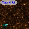 Terz N   79