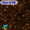 Terz N   80