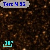 Terz N   85