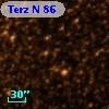 Terz N   86