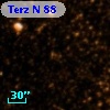 Terz N   88