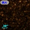 IRAS 17291-2821