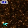 IRAS 17310-3019