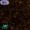 IRAS 17313-2805