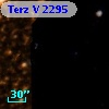 Terz V 2295
