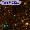 Terz V 2321