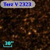 Terz V 2323