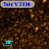 Terz V 2336