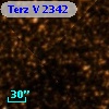 Terz V 2342