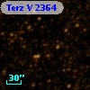 Terz V 2364