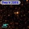Terz V 2371