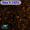 Terz V 2373
