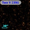 Terz V 2391