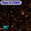 Terz V 2393