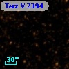 Terz V 2394