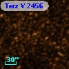 Terz V 2456