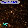 Terz V 2463