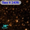 Terz V 2478