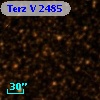 Terz V 2485