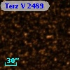 Terz V 2489