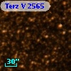Terz V 2565