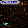 Terz V 2572