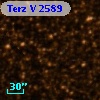 Terz V 2589