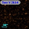 Terz V 2614