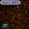 Terz V 2617