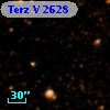 Terz V 2628