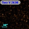 Terz V 2630