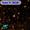 Terz V 2656