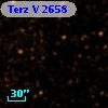 Terz V 2658