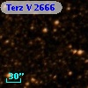 Terz V 2666