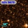 NSV  9079
